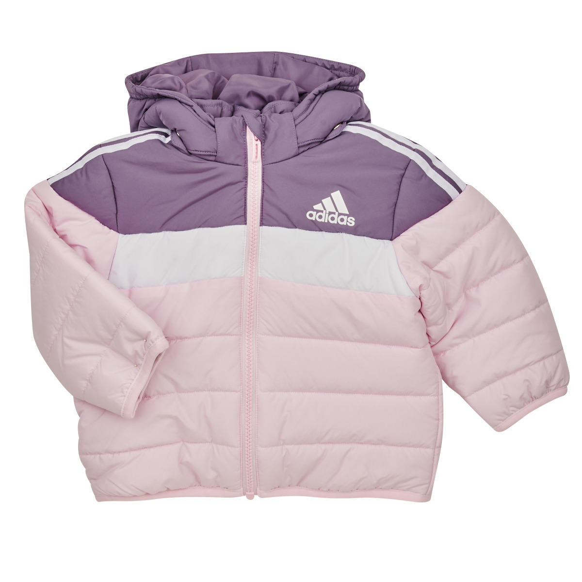 Adidas Sportswear Violet IN F PAD JKT ZVVJGWTA